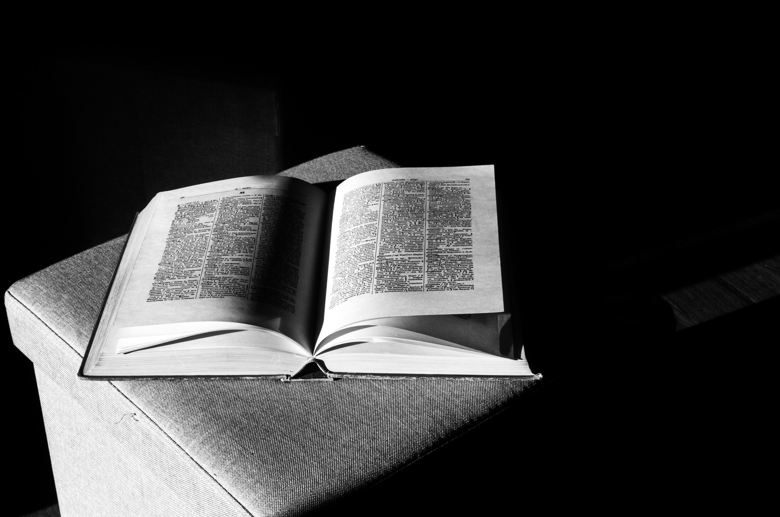 Monochrome Photo Of Book